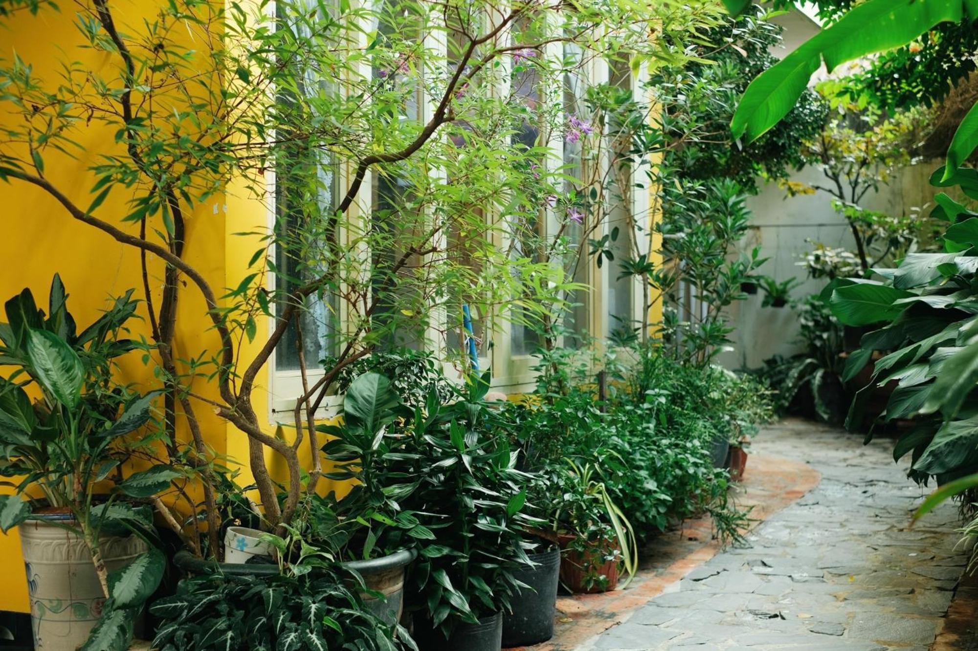 Homestay In Tay Ninh Exterior foto